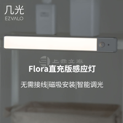 EZVALO几光感应灯青春版自动智能床头喂奶人体感应灯走廊灯Flora